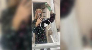 Почему кошки не любят «пшикающие» звуки