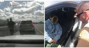 В США 5-летний ребенок угнал машину родителей и отправился к сестре в другой город (2 фото + 1 видео)