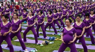 Taking turns on maternity leave - a brilliant idea from a Chinese official (7 photos)