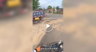 Мужчина необычно проучил собаку, которая лаяла на него