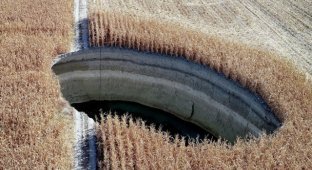 Пугающий провал грунта на фермерском поле (8 фото)