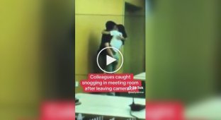 Colleagues kissed in a conference room, not knowing that their kiss was being broadcast to another office