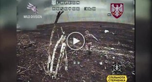 A kamikaze drone eliminated a disarmed Russian soldier in the middle of a field
