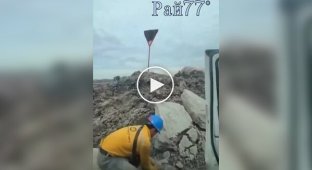 Парень бросил камень в дорожный знак, облепленный пчелами