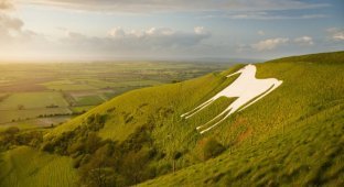 Белая лошадь: рисунок на холме, покрытый тайнами (11 фото)