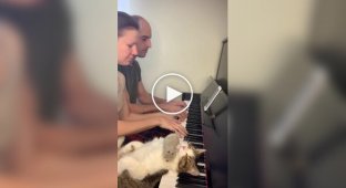 Animals (short videos). Release 87