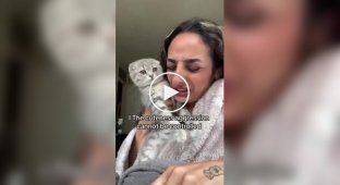 Cats also have it tough