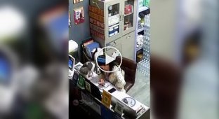 Кот пришел попрощаться