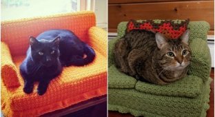 Хозяева вяжут для котов диванчики - и это сплошная милота! (21 фото)