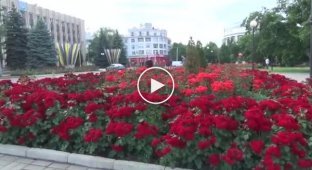 Бахмут, который за количество розовых кустов в городе попал в Национальный реестр рекордов Украины. До войны