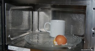 Готовим яйца в микроволновой печи (11 фото)
