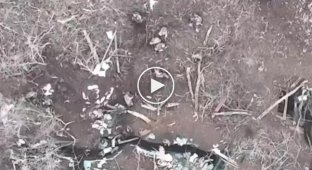 A Ukrainian drone drops ammunition on the head of a Russian military man in the Donetsk region