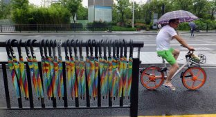 How the Chinese ruined a company by stealing an umbrella (8 photos)