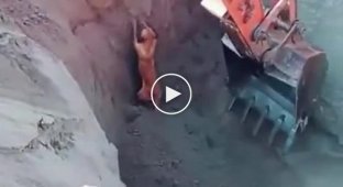 An excavator pulled a dog out of a pit at a construction site