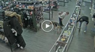 Бездомна спробувала викрасти пістолет зі збройової крамниці