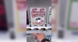 Vending machine with insects in Japan