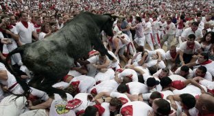 Фестиваль «Сан-Фермин» – забег быков в Памплоне (35 фото)