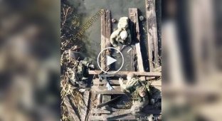 Трупы ликвидированных российских захватчиков плавают в грязи