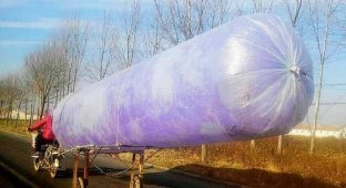 Why is natural gas transported in plastic bags in Pakistan (13 photos)