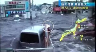 Очередное цунами в Японии