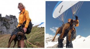 68-year-old woman has completed nearly 500 paragliding flights with her dogs (11 photos + 1 video)