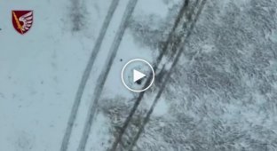 Українські дрони скидають боєприпаси на російську піхоту в районі Мар'їнки