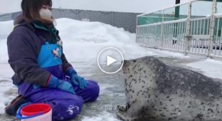 A seal synchronized with its keeper