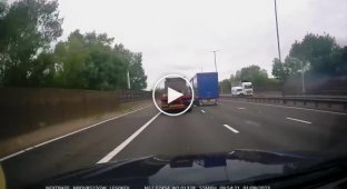 A cow fell out of a truck onto a road in England