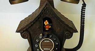 The most unusual phones (12 photos)