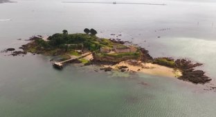 Something special: an island with a private beach is put up for sale, but there is a nuance (5 photos)