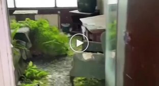 Room in an abandoned hotel in Ireland