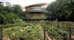 Архитектура будущего: дом-подсолнух, который движется к солнцу, как цветок (3 фото)