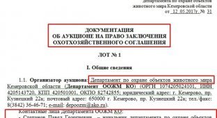 На Кузбассе сдают в аренду 142 000 гектаров тайги за 6 400 рублей (8 фото)