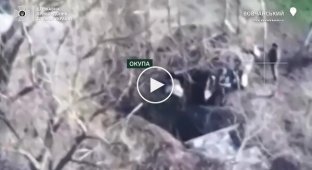 Сили оборони знищили 3 пункти пілотування БПЛА противника та знешкодили 9 окупантів на Вовчанському напрямку