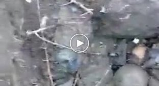 Подборка видео с пленными и убитыми в Украине. Выпуск 46