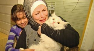 Lost cat returned to Iraqi refugee family after traveling halfway around the world (10 photos)