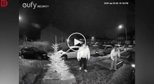 Занадто слизько, щоб дістатися додому: крижаний хаос