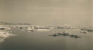 Суровая жизнь в Гренландии: подборка архивных кадров от доктора Томаса Неергорда Краббе (25 фото)