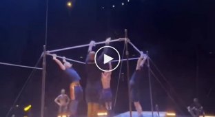 Синхронная работа артистов из цирка Cirque du Soleil