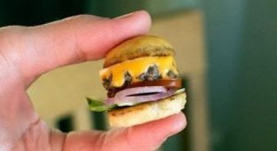 Креативные крохотные гамбургеры (3 Фото)