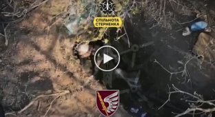 Paratroopers filmed the suicide of a Russian invader