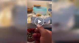 Sweet lover committed insidious crime