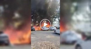Боролся с тополиным пухом, а победил парковку с 20 автомобилями