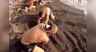 Странный конкурс на пляже в Сочи
