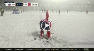 Сніговий фінал Канадської Прем'єр-ліги