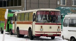 Soviet buses (28 photos)