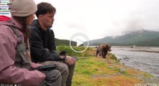 A streamer almost became a brown bear's lunch during a live broadcast