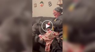 Кролики наводят шороху в домах хозяев