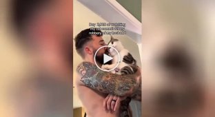 Девушки сняли на видео доказательства, что кошка запросто может увести мужчину