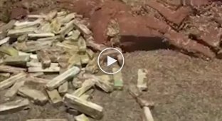 Грузовик с тонной травки перевернулся в Бразилии